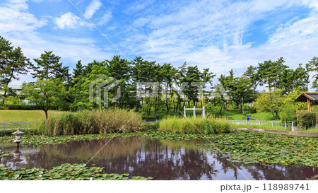 神奈川県横浜市中区本牧本牧市民公園の横浜上海友好記念館の秋・夏 118989741