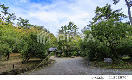 神奈川県横浜市本牧の景勝地三渓園・三渓園の夏 神奈川県横浜市本牧の景勝地三渓園・三渓園の夏 118989764