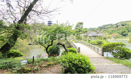 神奈川県横浜市本牧の景勝地三渓園・三渓園の夏 神奈川県横浜市本牧の景勝地三渓園・三渓園の夏 118989772