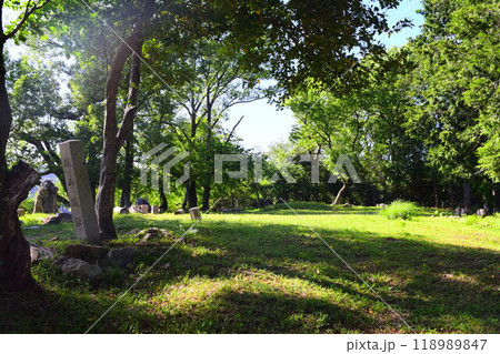 【続日本百名城】芥川山城 【続日本百名城】芥川山城 118989847