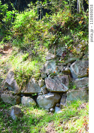 【続日本百名城】芥川山城 【続日本百名城】芥川山城 118989858