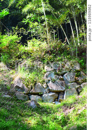 【続日本百名城】芥川山城 【続日本百名城】芥川山城 118989862