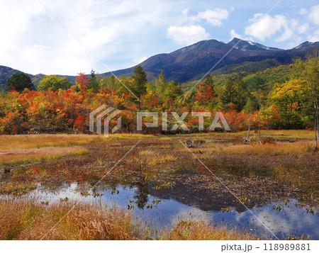 紅葉で赤く色づいた乗鞍高原・一の瀬草原の「どじょう池」から望む乗鞍岳 紅葉で赤く色づいた乗鞍高原・一の瀬草原の「どじょう池」から望む乗鞍岳 118989881