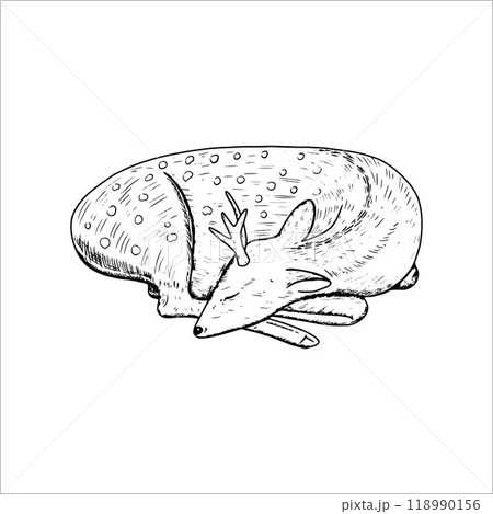 Sleeping deer. Hand drawn vector illustration 118990156
