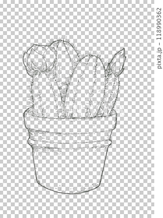 花が付いたサボテンの鉢植え 118990362