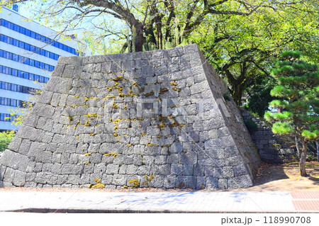 【続日本百名城】福井城 118990708