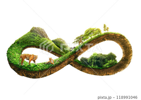 3d illustration of infinity environment concept. infinite earth land with green grass isolated on white background. Eco and circular economy concept. wildlife protection, Wildlife Conservation Day. 118991046