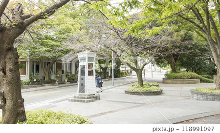 神奈川県横浜市中区山手西洋館(山手234)の秋 神奈川県横浜市中区山手西洋館(山手234)の秋 118991097
