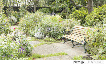 フランス山公園(港の見える丘公園)の秋 フランス山公園(港の見える丘公園)の秋 118991310