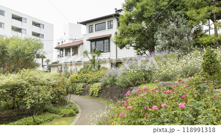 フランス山公園（港の見える丘公園）の秋 118991318