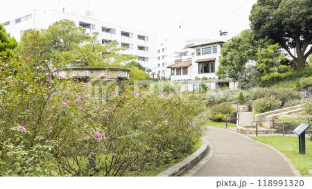 フランス山公園(港の見える丘公園)の秋 フランス山公園(港の見える丘公園)の秋 118991320
