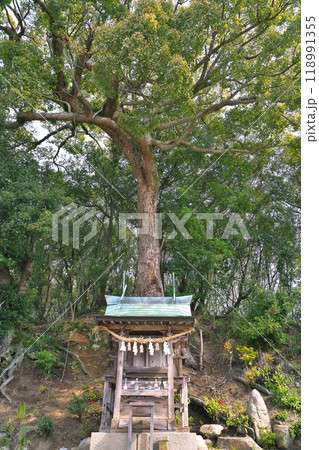 【浦崎道越厳島神社】 広島県尾道市浦崎町 118991355