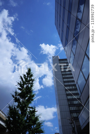 オフィス街から見上げる青空 118992739