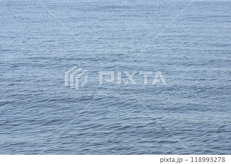 海 118993278