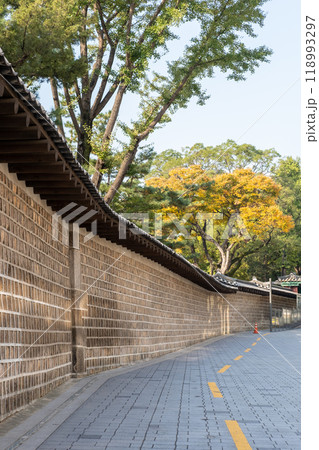 Deoksugung Stonewall Walkway with beautiful autumn foliage. It is the pedestrian footpath that runs next to Deoksugung Palace in Seoul, South Korea Deoksugung Stonewall Walkway with beautiful autumn foliage. It is the pedestrian footpath that runs next to Deoksugung Palace in Seoul, South Korea 118993297