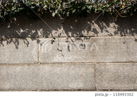 Concrete stone wall with vine plant on the top 118993302