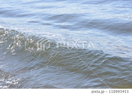海 海 118993453