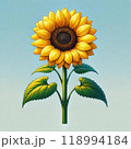 明るく元気なひまわりの花 118994184