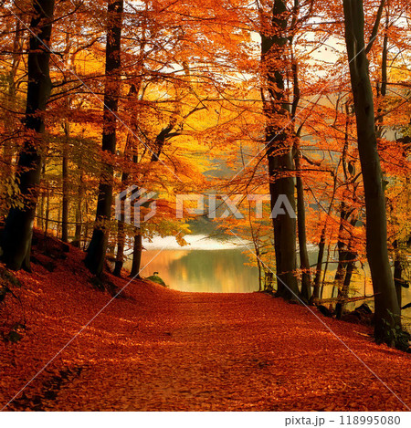 autumn scenery, fall foliage, autumn leaves, red trees, yellow leaves, brown leaves, autumn sky, cool breeze, fallen leaves, forest, autumn forest path, lake, autumn lake, mountains, autumn mountains, 118995080