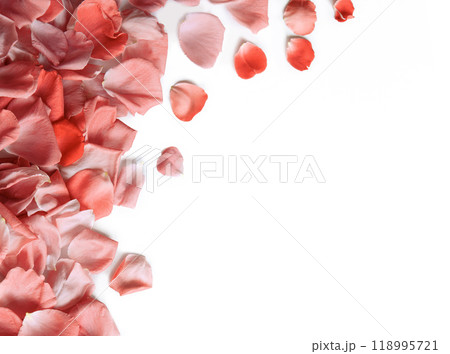 Natural background of rose petals 118995721