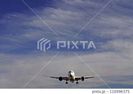 大阪　豊中　着陸前の飛行機（ボーイング767-300ER）（原田進入灯橋付近から、晩冬） 118996375