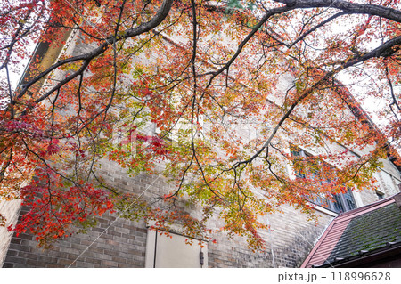 諏訪湖に面した片倉館の紅葉（長野県諏訪市） 118996628