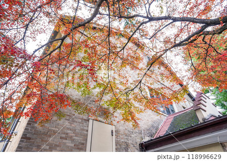 諏訪湖に面した片倉館の紅葉（長野県諏訪市） 118996629