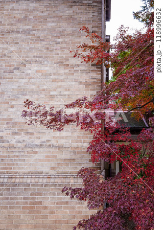 諏訪湖に面した片倉館の紅葉（長野県諏訪市） 118996632