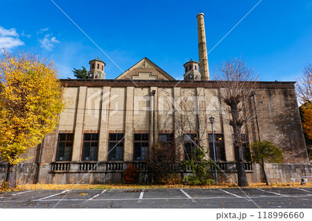 諏訪湖に面した片倉館の紅葉（長野県諏訪市） 118996660