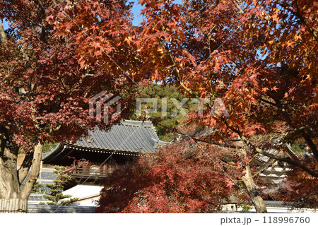 興聖寺　秋の琴坂(京都府宇治市) 118996760