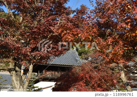 興聖寺 秋の琴坂(京都府宇治市) 興聖寺 秋の琴坂(京都府宇治市) 118996761