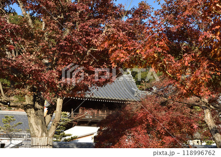 興聖寺 秋の琴坂(京都府宇治市) 興聖寺 秋の琴坂(京都府宇治市) 118996762