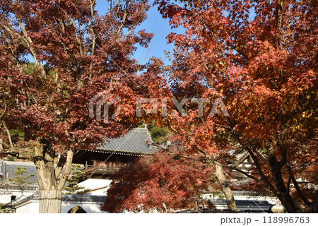 興聖寺 秋の琴坂(京都府宇治市) 興聖寺 秋の琴坂(京都府宇治市) 118996763