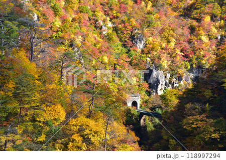 秋 鳴子峡 秋 鳴子峡 118997294
