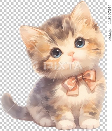 kitten on white background kitten on white background 118997844