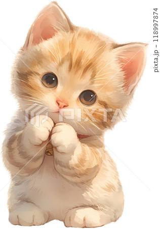 kitten in studio 118997874