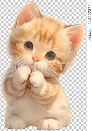 kitten in studio 118997874