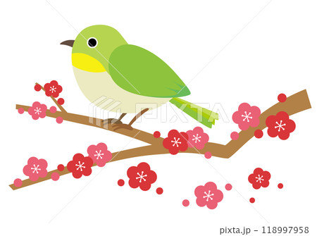 梅の枝にとまるメジロのイラスト 118997958