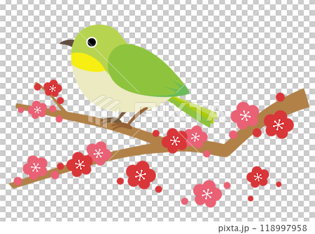 梅の枝にとまるメジロのイラスト 118997958