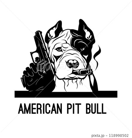 Bad American Pit Bull with gun - Bad Dog - Dog gangster Bad American Pit Bull with gun - Bad Dog - Dog gangster 118998502