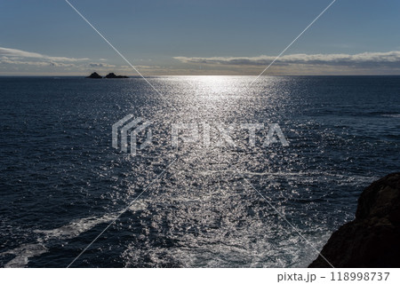 【海の輝き】世界遺産「鬼ヶ城」から望む太平洋 118998737