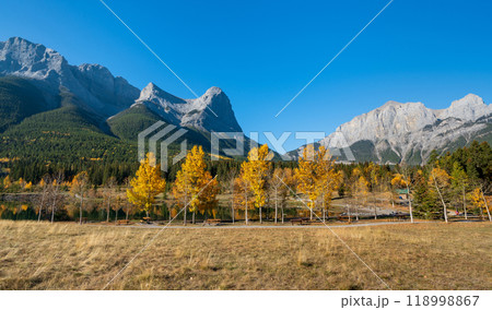 Canadian Rockies Autumn scenery in Quarry Lake, Canmore, Alberta, Canada. Yellow leaves forest, majestic mountains and blue sky. 118998867