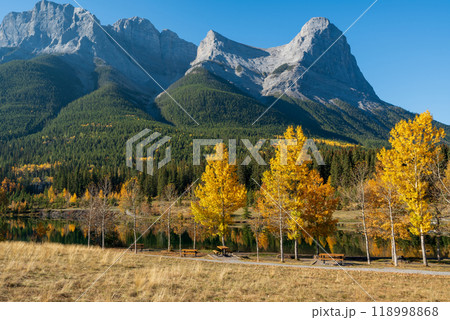 Canadian Rockies Autumn scenery in Quarry Lake, Canmore, Alberta, Canada. Yellow leaves forest, majestic mountains and blue sky. Canadian Rockies Autumn scenery in Quarry Lake, Canmore, Alberta, Canada. Yellow leaves forest, majestic mountains and blue sky. 118998868