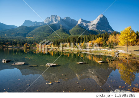 Canadian Rockies Autumn scenery in Quarry Lake, Canmore, Alberta, Canada. Yellow leaves forest, majestic mountains and blue sky reflected on the water. 118998869
