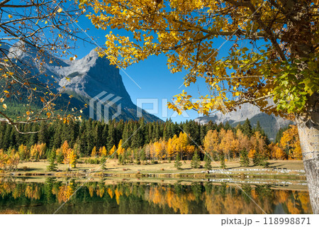 Canadian Rockies Autumn scenery in Quarry Lake, Canmore, Alberta, Canada. Yellow leaves forest, majestic mountains and blue sky reflected on the water. Canadian Rockies Autumn scenery in Quarry Lake, Canmore, Alberta, Canada. Yellow leaves forest, majestic mountains and blue sky reflected on the water. 118998871