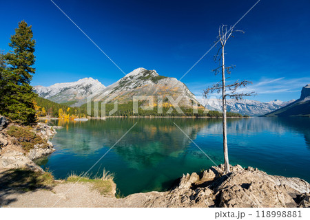 Banff National Park Lake Minnewanka autumn landscape. Alberta, Canada. Majestic mountains, forests in yellow green color against blue sky reflected on the water. Beautiful natural scenery. Banff National Park Lake Minnewanka autumn landscape. Alberta, Canada. Majestic mountains, forests in yellow green color against blue sky reflected on the water. Beautiful natural scenery. 118998881