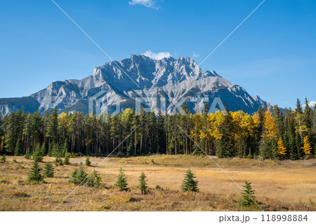 Banff National Park Cascade Mountain autumn landscape. Alberta, Canada. Majestic mountains, forests, prairie in yellow and green color against blue sky. Canadian Rockies beautiful natural scenery. Banff National Park Cascade Mountain autumn landscape. Alberta, Canada. Majestic mountains, forests, prairie in yellow and green color against blue sky. Canadian Rockies beautiful natural scenery. 118998884