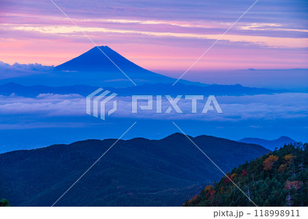 【山梨県】紅葉が始まった国師ヶ岳から望む富士山　夜明け 118998911