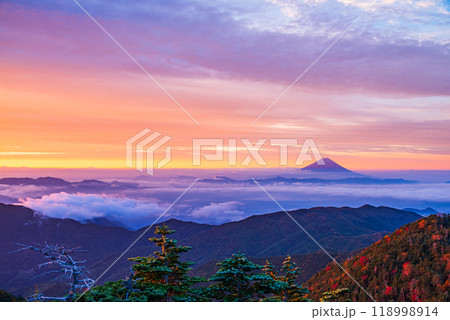 【山梨県】紅葉が始まった国師ヶ岳から望む富士山　夜明け 118998914