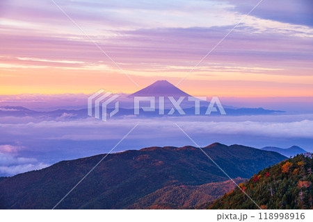 【山梨県】紅葉が始まった国師ヶ岳から望む富士山　夜明け 118998916